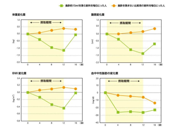 松田リエさん＿モーニングルーティン