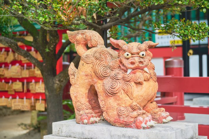 『クックパッド プラス2024年夏号』