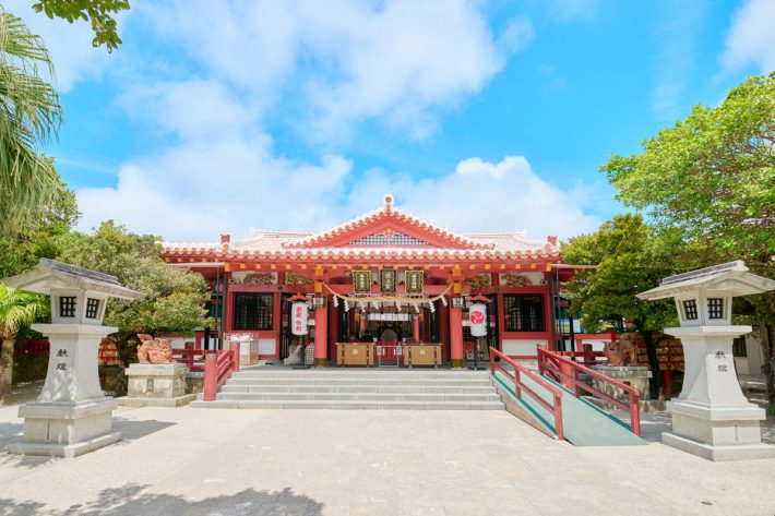 『クックパッド プラス2024年夏号』