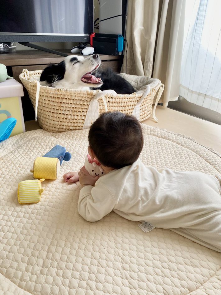 マロちゃんとお子さん