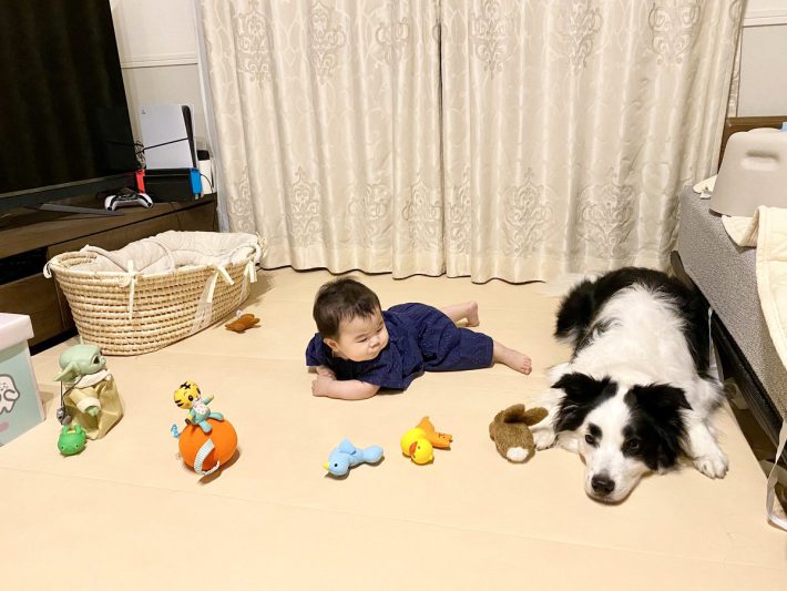 マロちゃんとお子さん