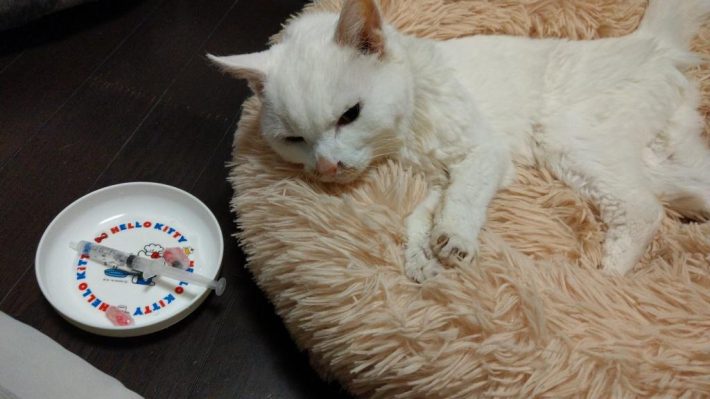 横になるへちまちゃん