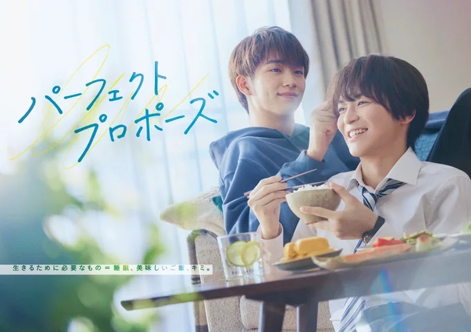 『パーフェクトプロポーズ』株式会社バップのリリースより