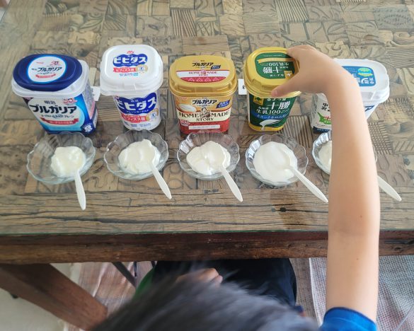 プレーンヨーグルト5種類を食べ比べ