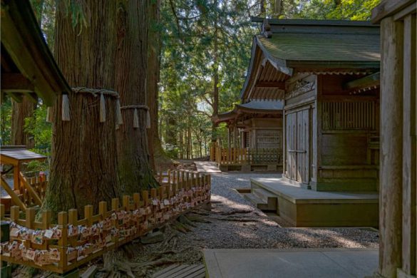高千穂神社 夫婦杉と社殿