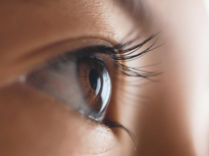 詐欺＆スピ沼202410