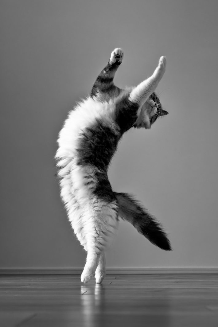 バレリーナのようなポーズ