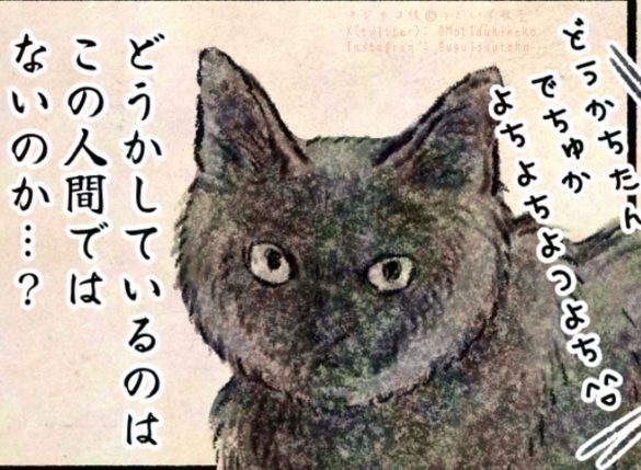 猫漫画
