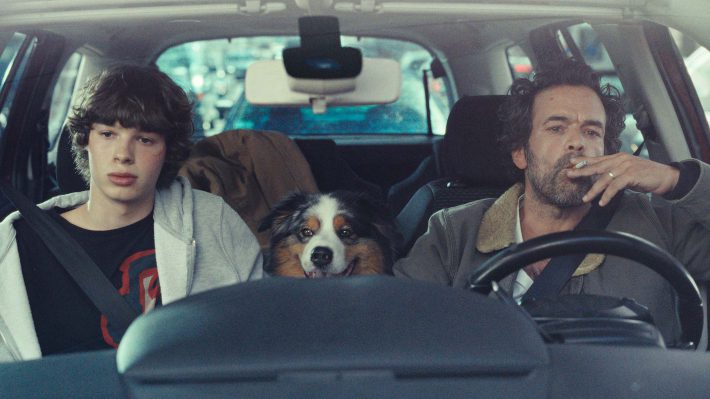 映画『動物界』