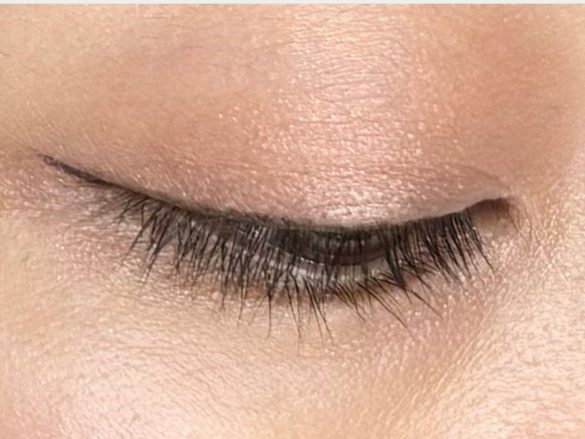 プレピタライナー　セザンヌ