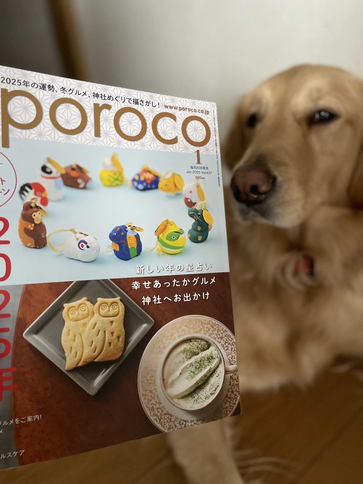 掲載された『poroco』