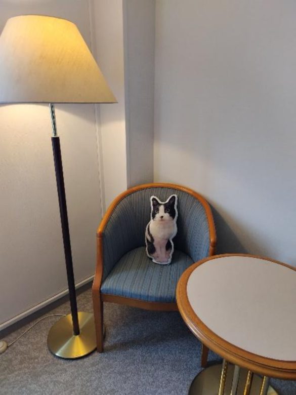 キャリー家マメ