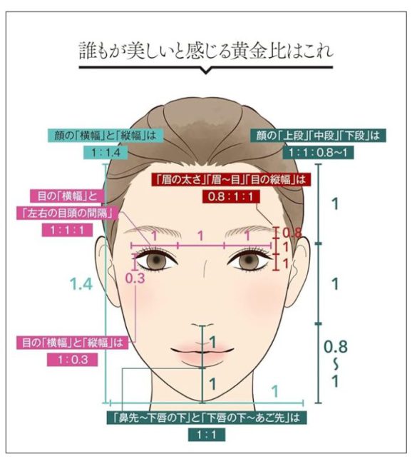 顔の縦横比