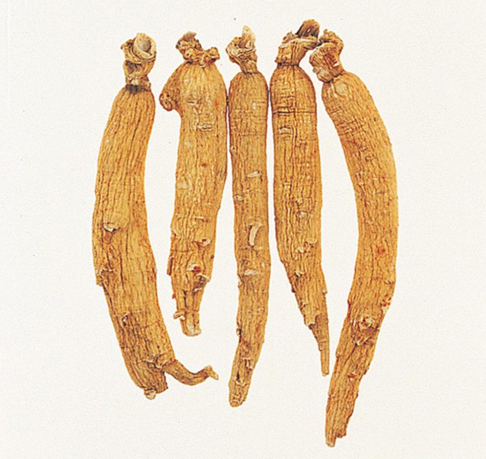 漢方生薬の「人参」