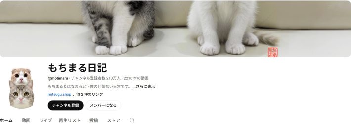 （画像：YouTube『もちまる日記』より）