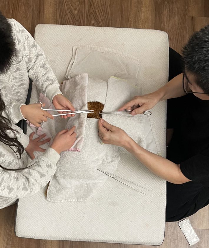 ぬいぐるみの手術風景