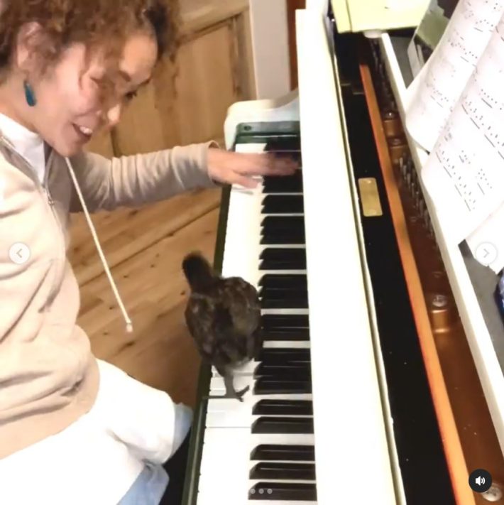 ピアニスト・ぴあやのさん