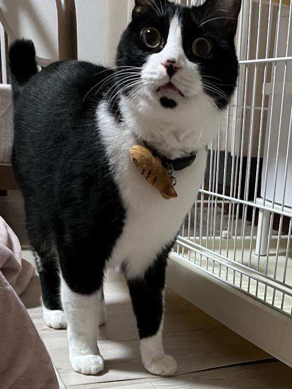 そのときのお顔