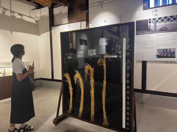 賀茂鶴見学エリア