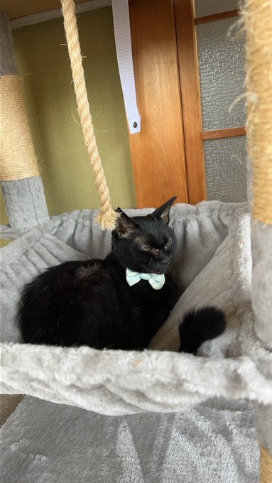 亡くなる二日前