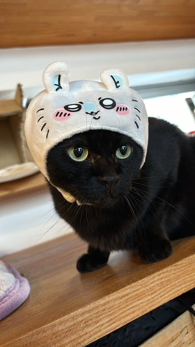 人気キャラになりきる姿