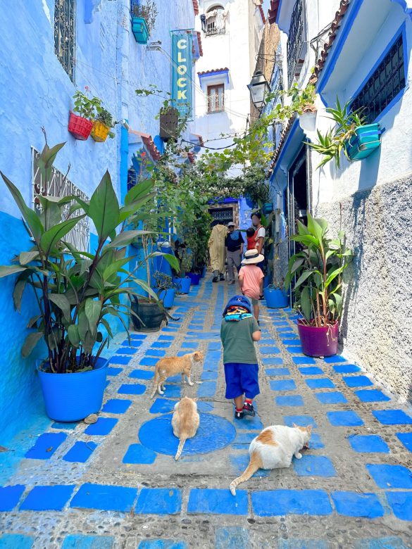 “青い街”と呼ばれるモロッコのシャウエンにて