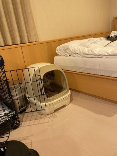 フェリー内での様子