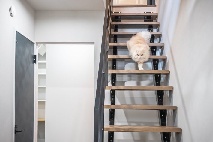 階段を昇り降りして、強度をくまなくチェック