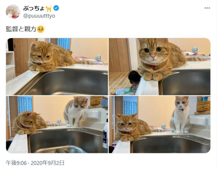 チェックが厳しい監督と親方