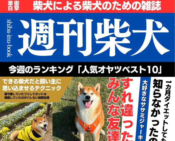 『週刊柴犬』