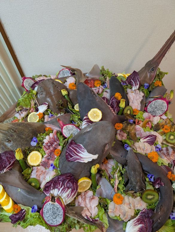 色鮮やかでトロピカル！