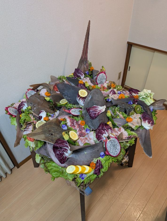 サメ、サメ、サメ、サメ……、サメがいっぱい