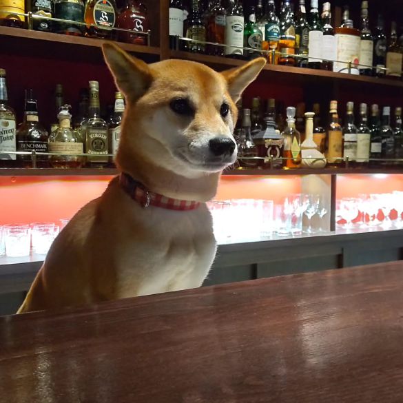 カウンター内に卯月ちゃんのスペースがある