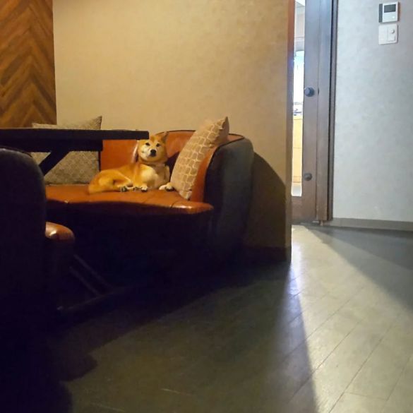 卯月ちゃんの隣でしっぽり飲める