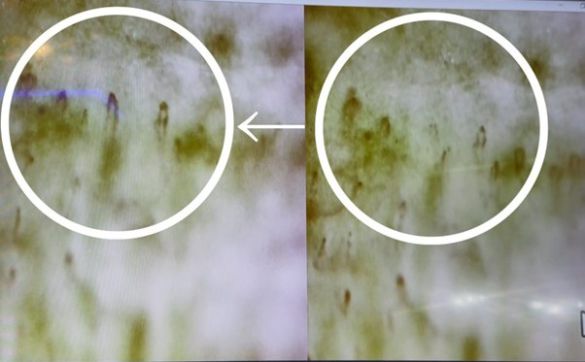 リカバリーウェア