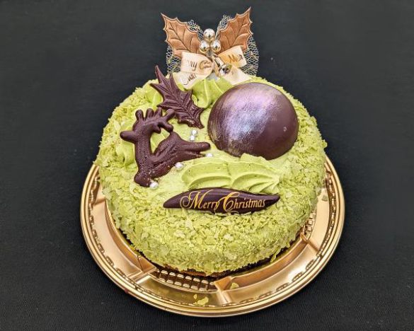 上から見た様子