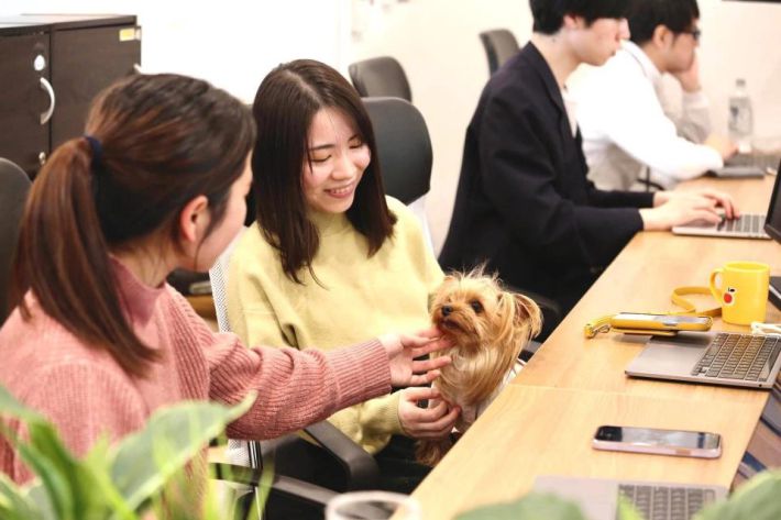 犬と同伴出社できる会社