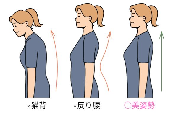 いい姿勢　図解