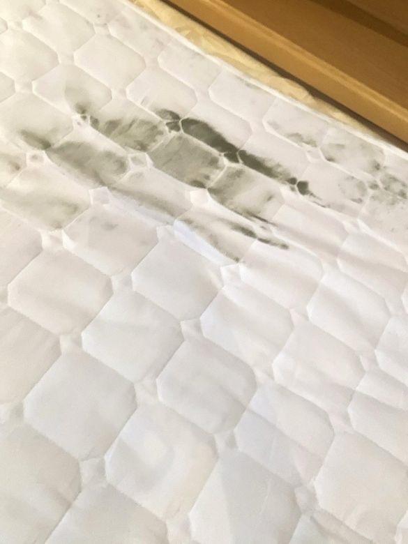 カビが移ってしまった敷きパッド