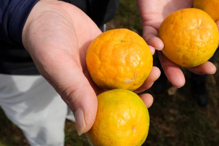 1207_小林青果株式会社③