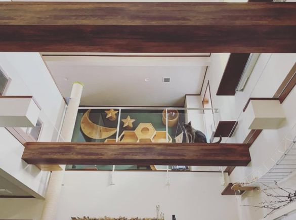 猫の部屋を分けている