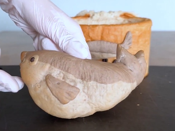 サーモン缶からサーモン