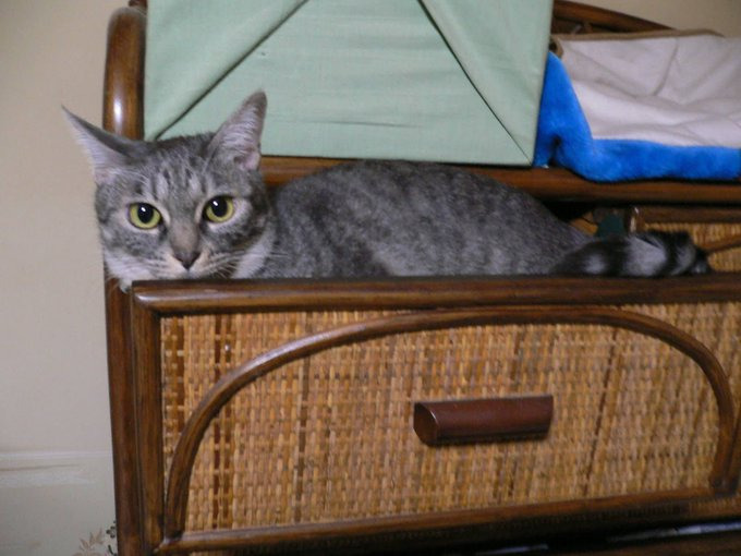 出会った時は、2歳だった