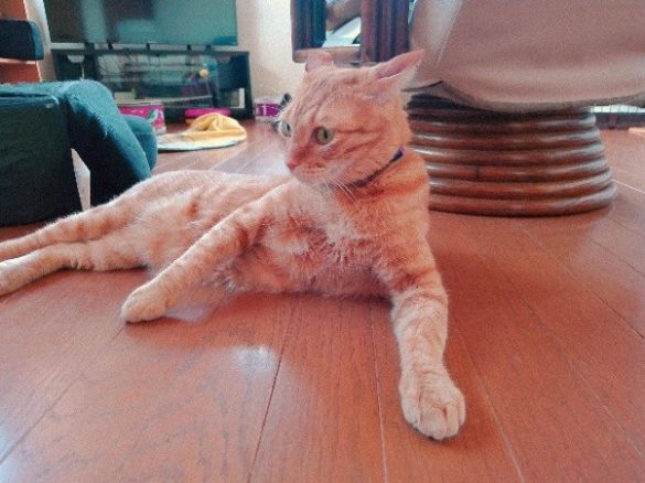 まるくん リラックス