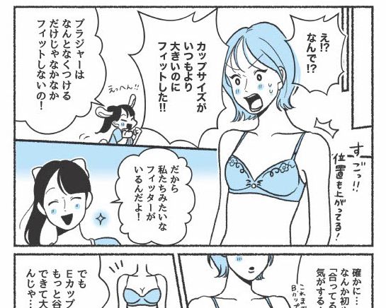 『悪いのはスタイルじゃなくて下着でした 一生モノの下着の教科書』（著者／ちーちょろす・漫画／oomisoka1231）